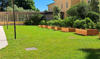 Progetto biodiversità urbana - 3BSA